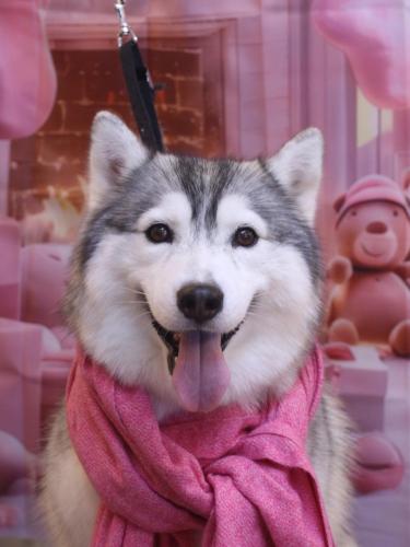 20241217ひかりちゃん